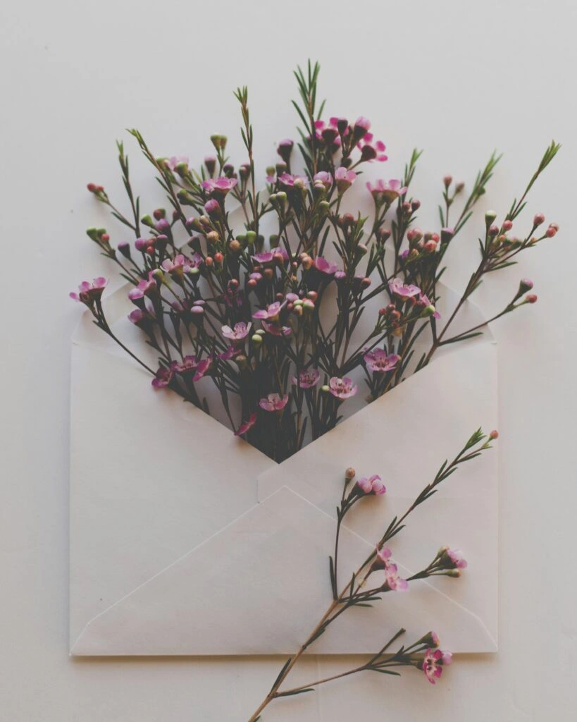 Dried flowers in an envelope