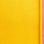 Color Analysis Types