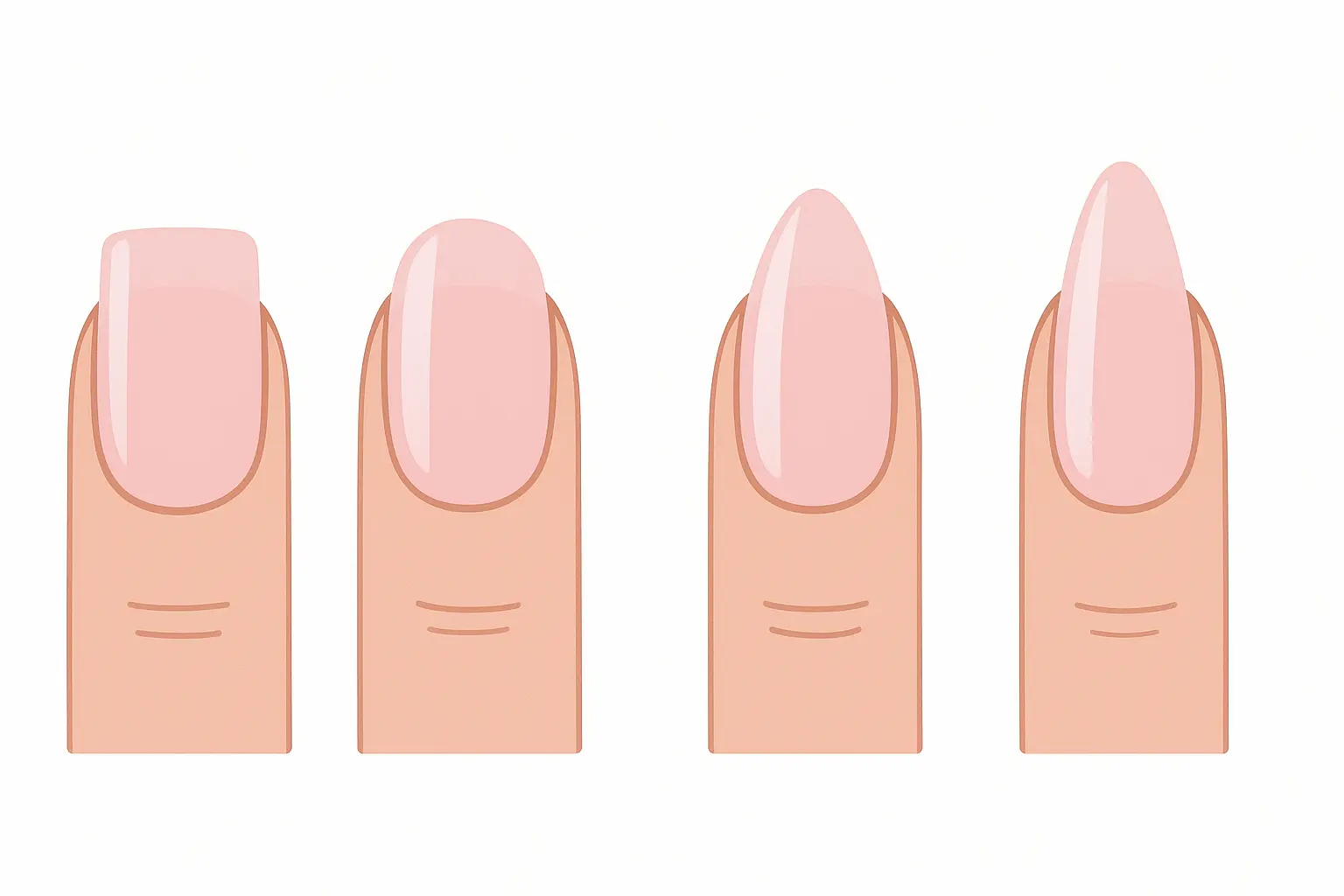 Comparison of different milky pink nail lengths on hands