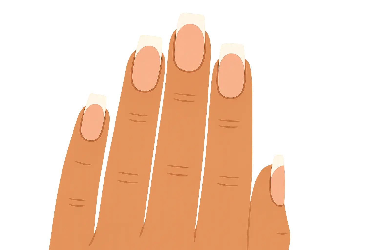 Traditional white French tip tapered square nails