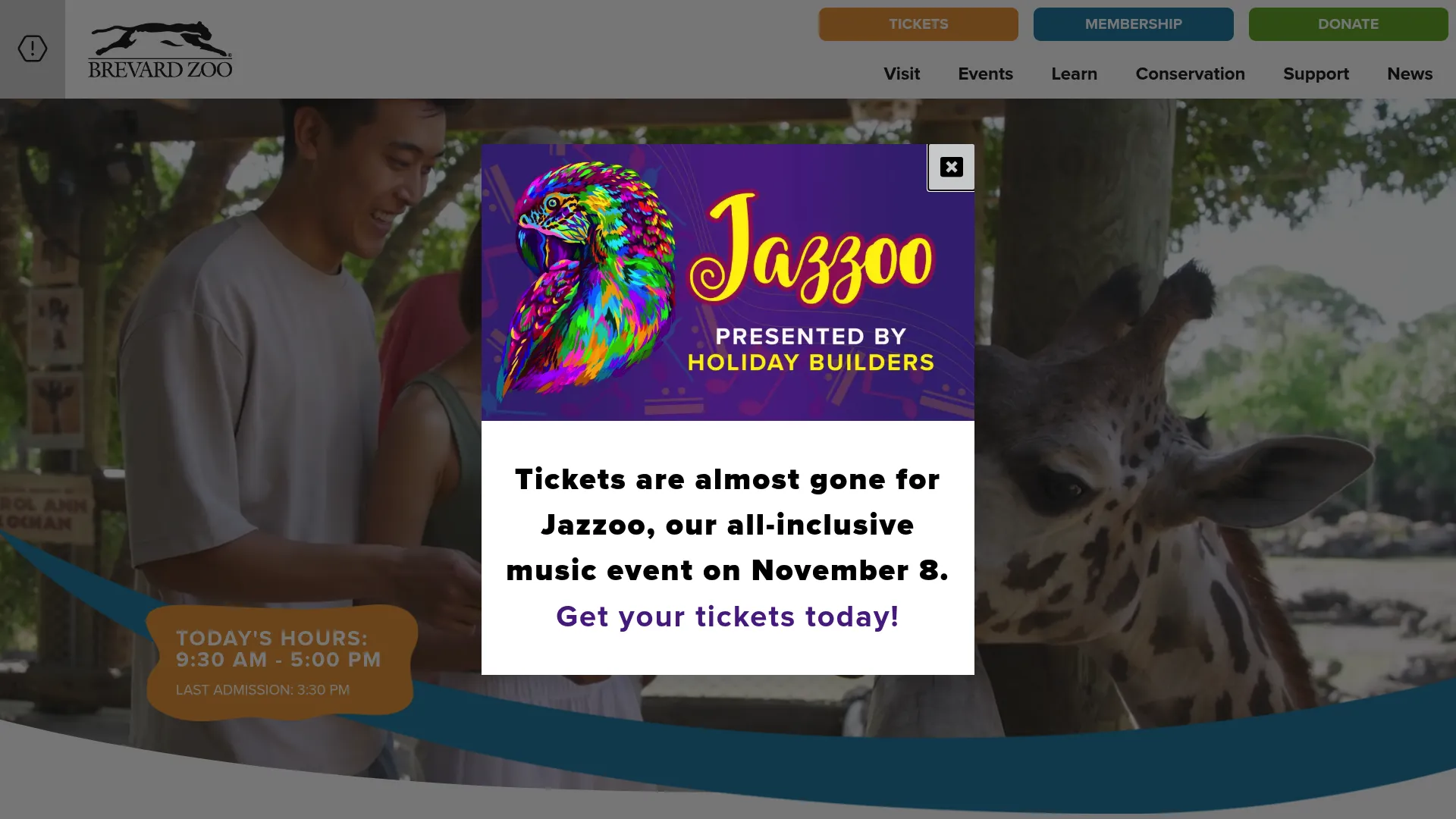 Brevard Zoo wedding venue with natural wildlife surroundings