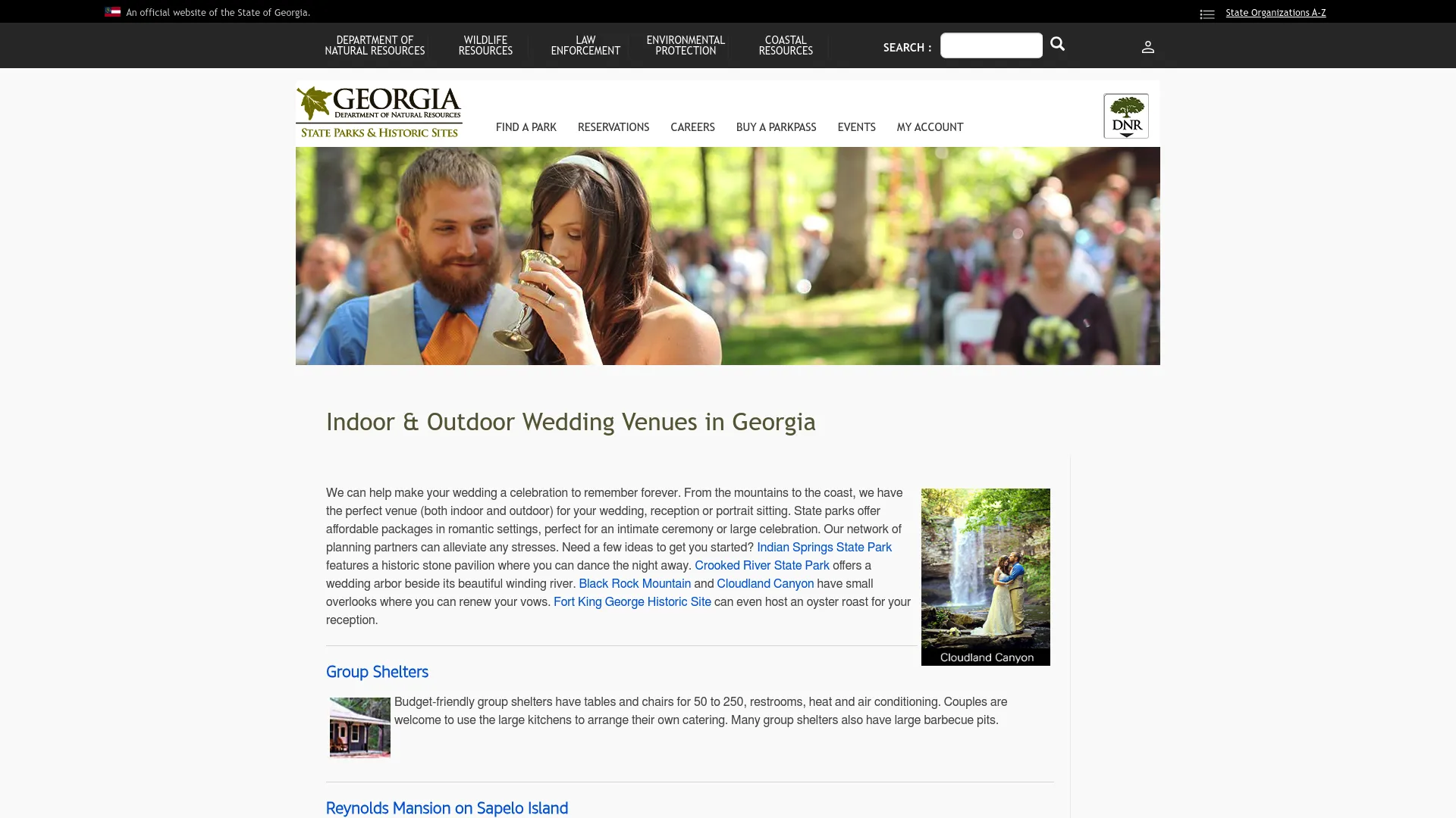 Amicalola Falls waterfall wedding ceremony backdrop