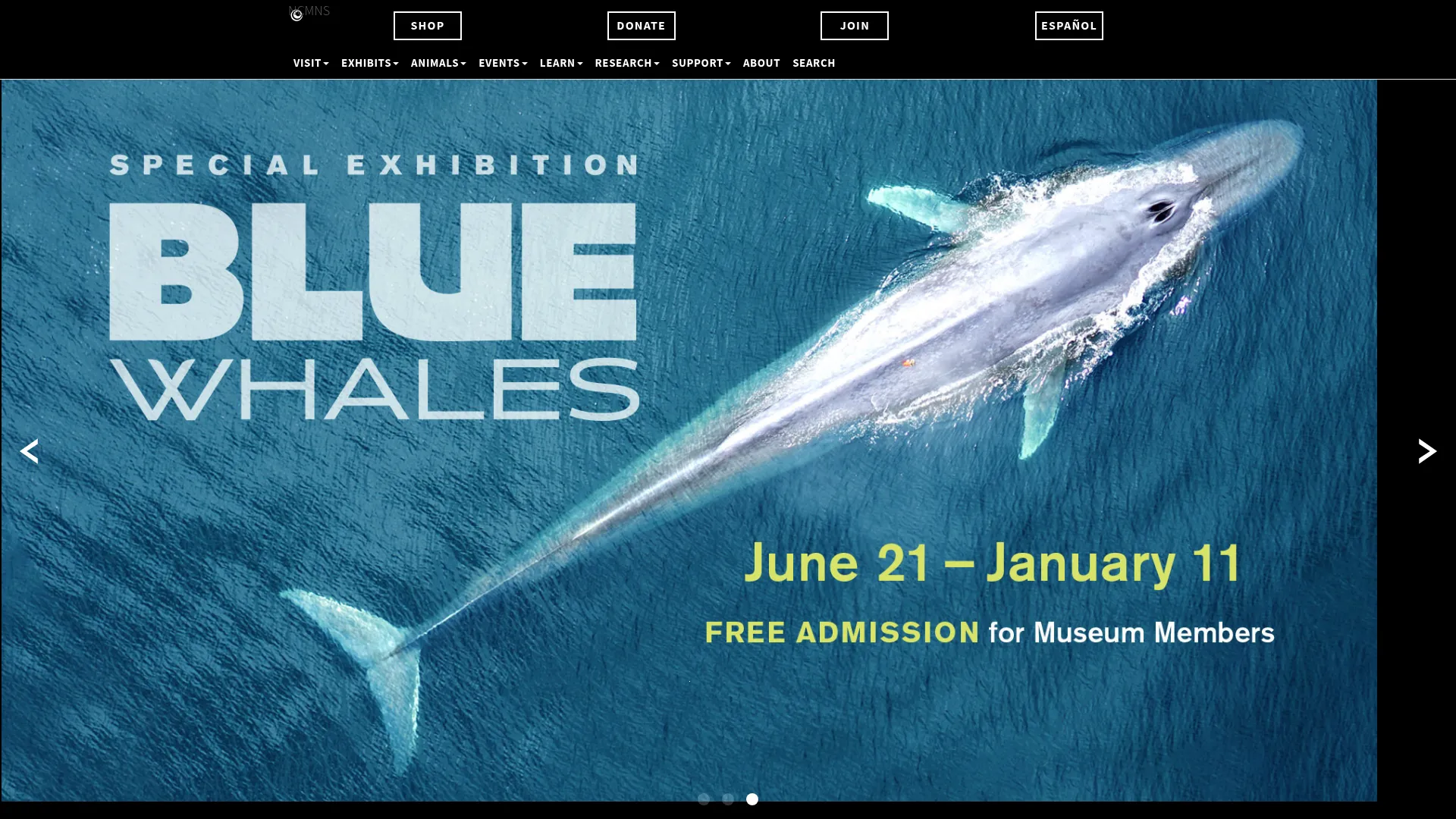 North Carolina Museum of Natural Sciences wedding venue