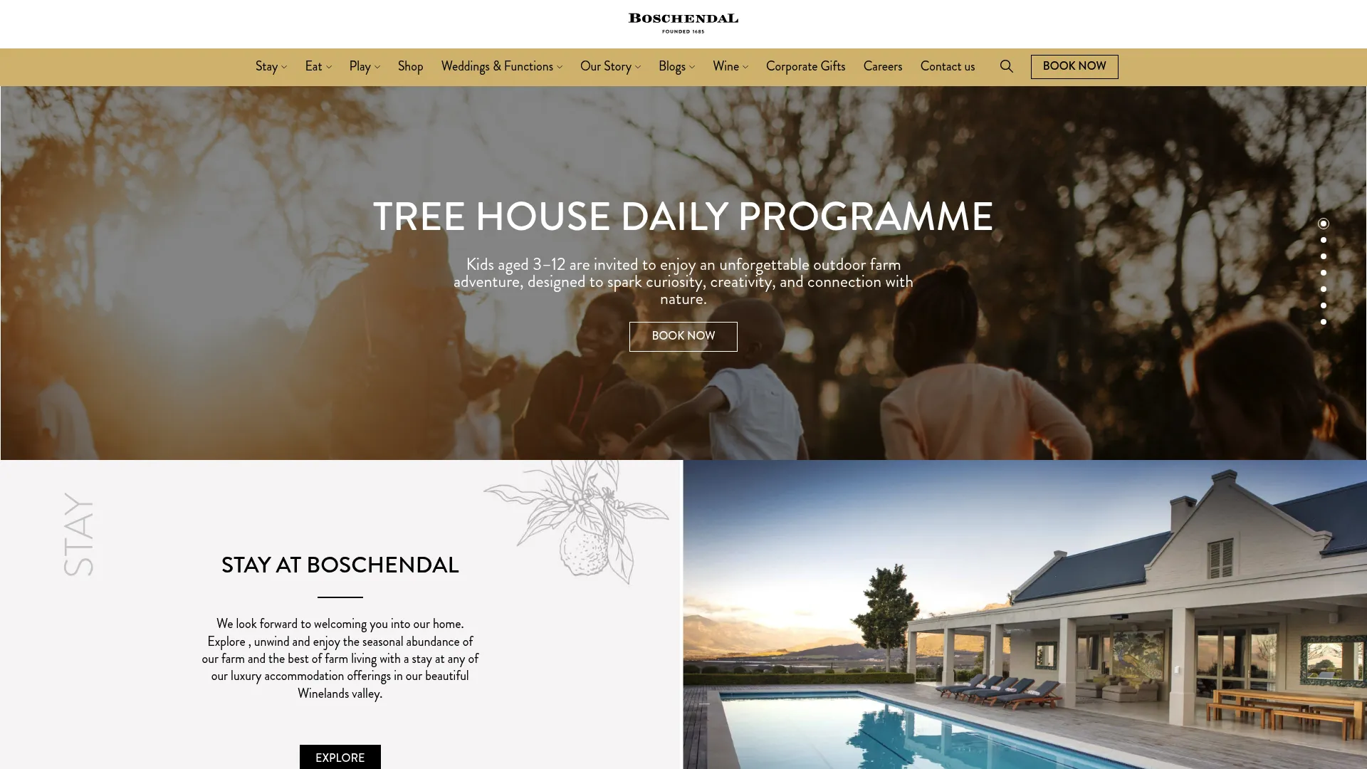 Boschendal Estate wedding venue with mountain backdrop