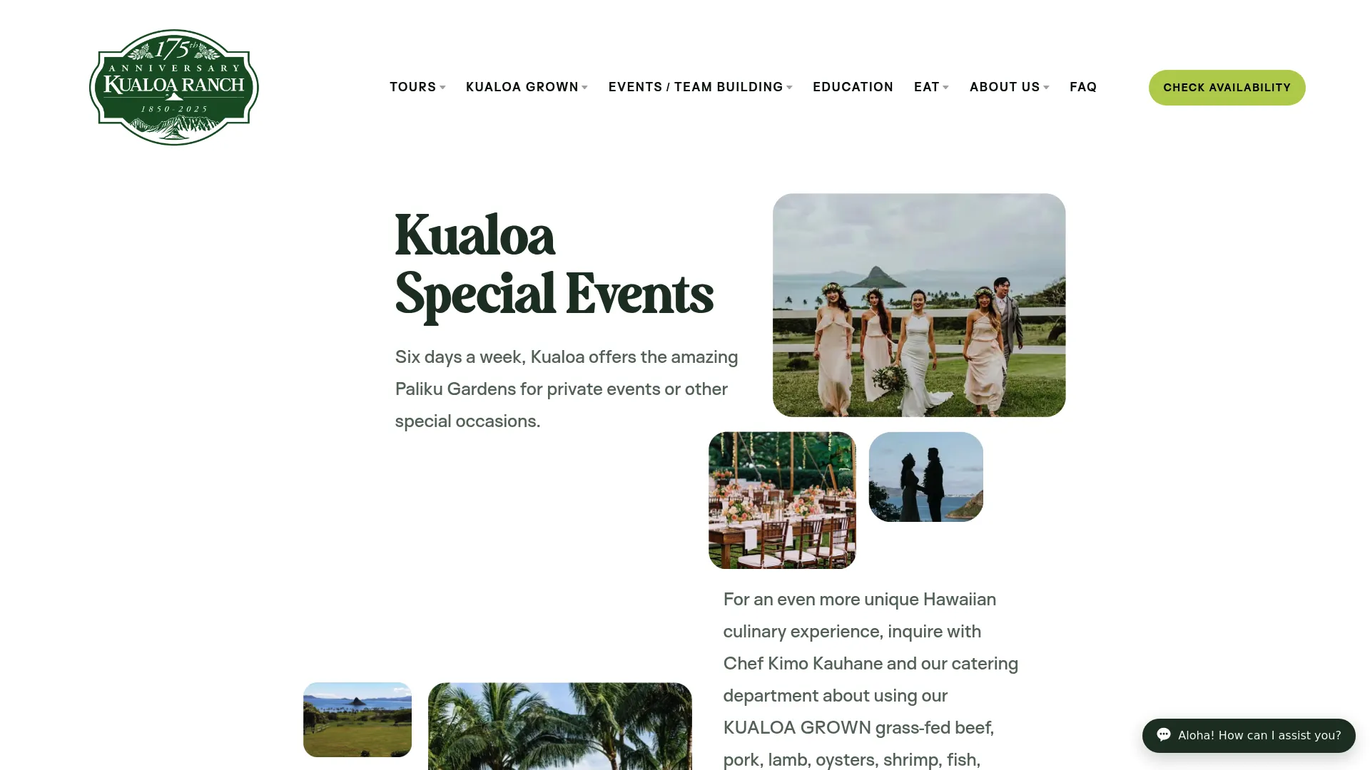 Kualoa Ranch wedding venues